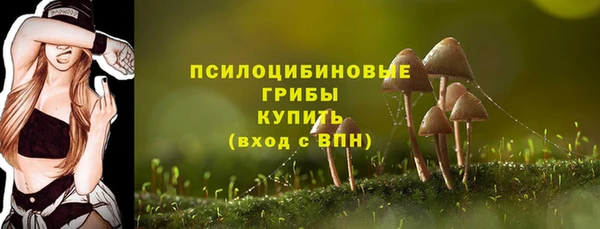 дмт Абинск