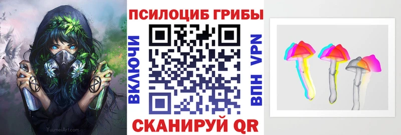 купить  сайты  Мегион  МЕГА ссылки  Псилоцибиновые грибы Psilocybine cubensis 