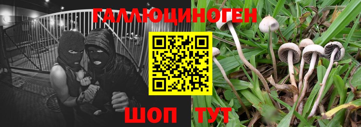 Галлюциногенные грибы ЛСД  наркотики  Мегион  Галлюциногенные грибы мухоморы  Вход с VPN 