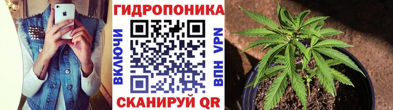 Каннабис MAZAR  даркнет сайт  Мегион 